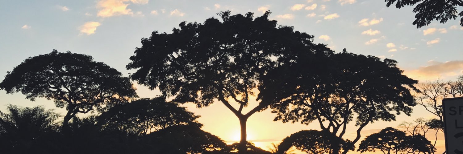 BreAngerilli's profile banner image