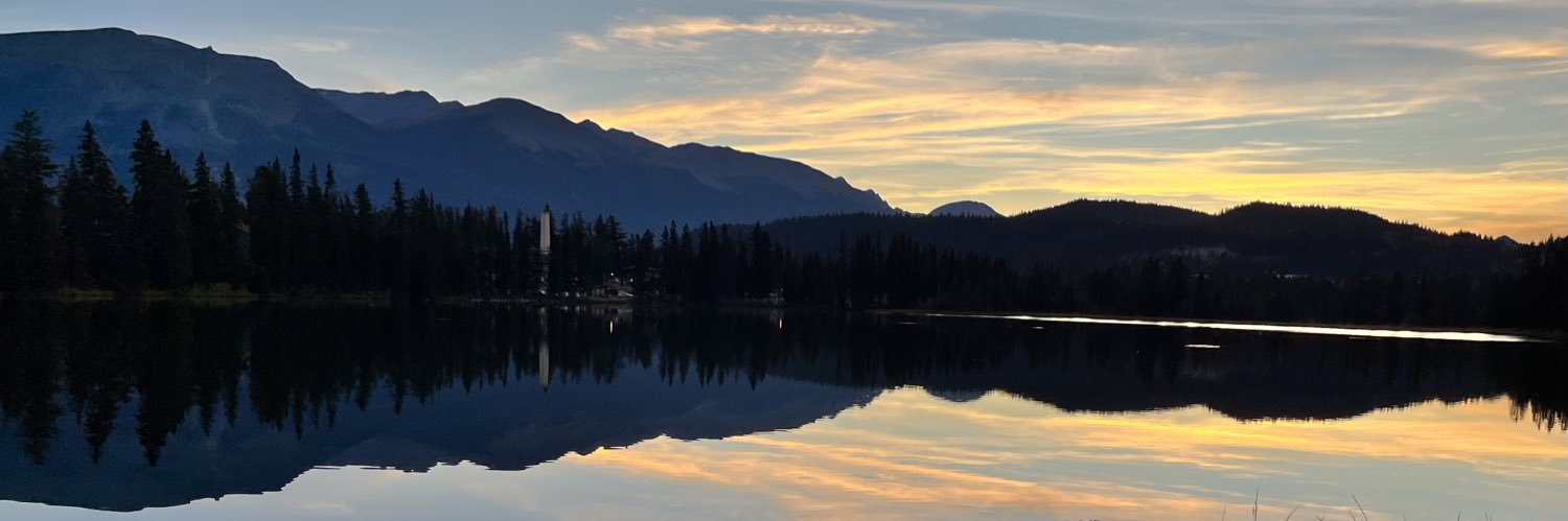 The Average Bear 🇨🇦 banner