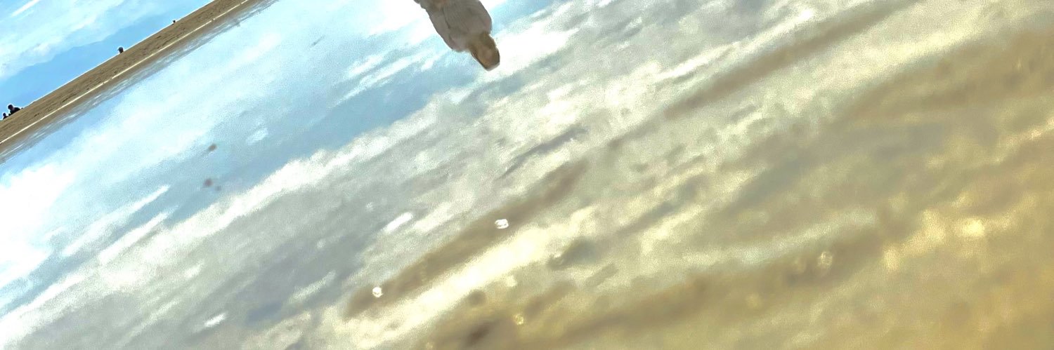UsokingO's profile banner image