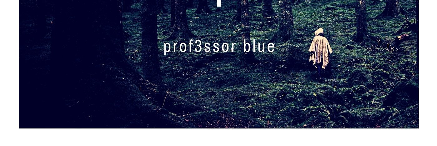 prof3ssor blue banner