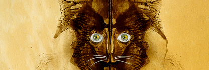 SandyHdezz's profile banner image