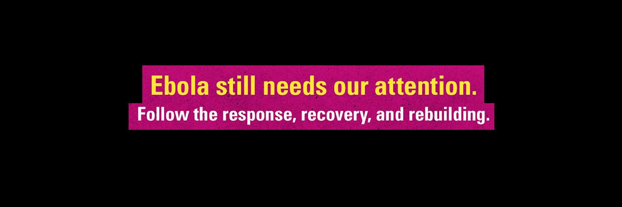 TrendOnThisorg's profile banner image