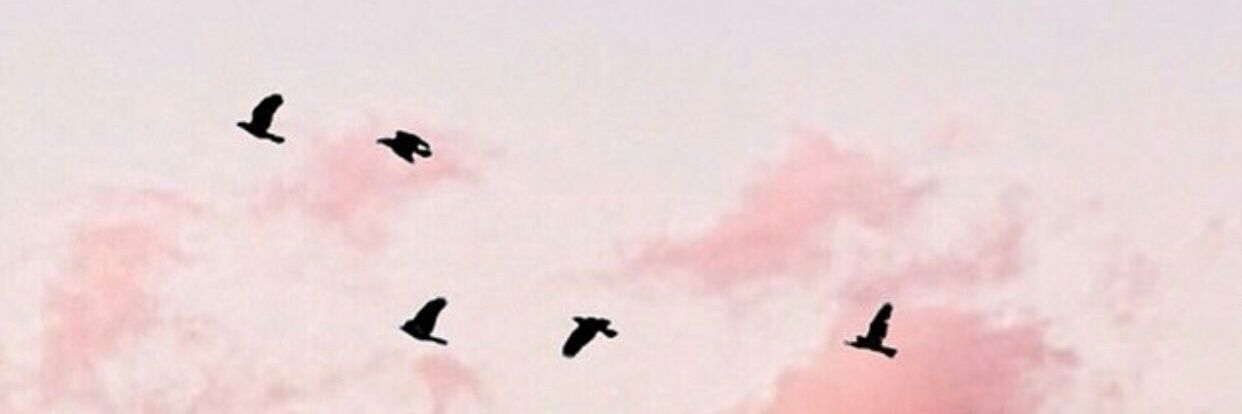ZCHALISA1's profile banner image