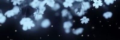 Rel here 🦋 banner