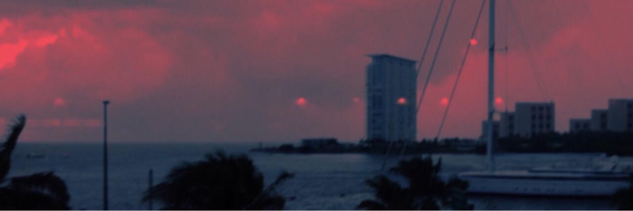 wydlarkin's profile banner image