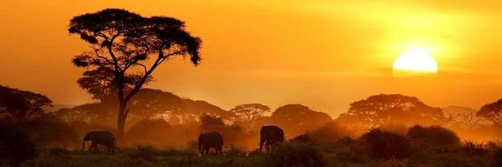 Nyambose Omkhulu banner