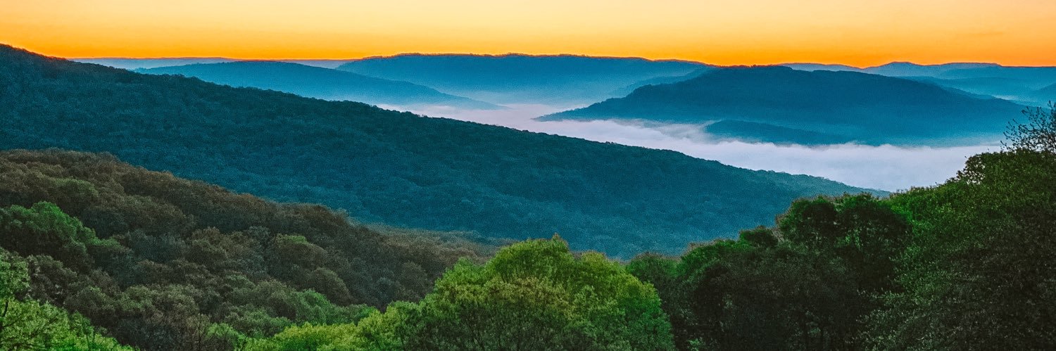 bradyconant's profile banner image
