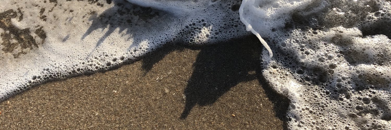 Stephanie Kelly banner