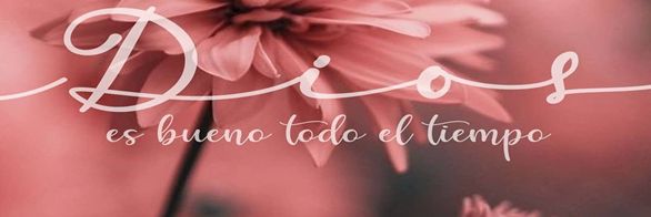 Mimi240168's profile banner image