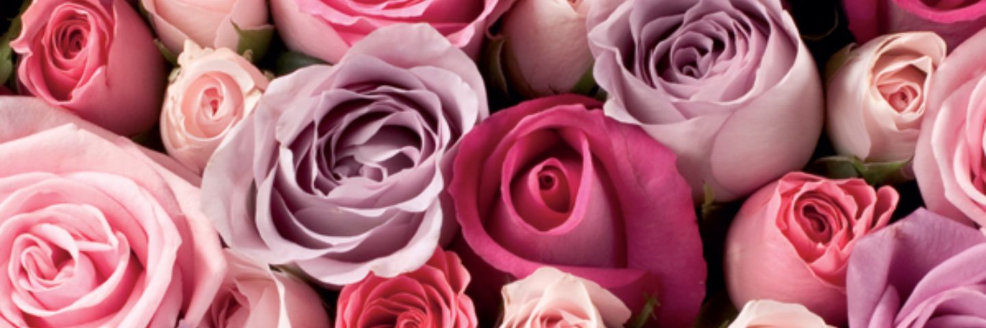 ciindiixo's profile banner image