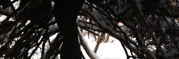 ReveurGAM Profile Banner