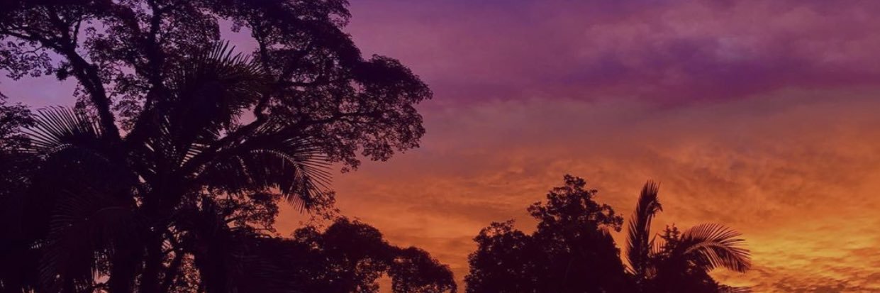 aferronir's profile banner image