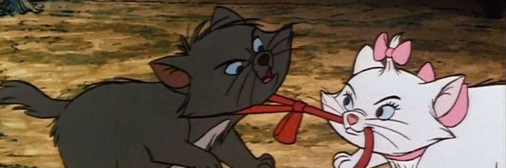 Marieisacat banner