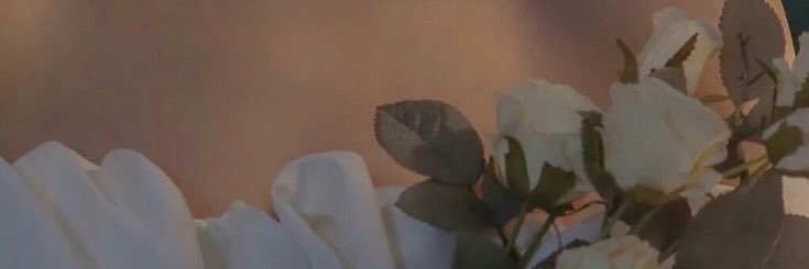 2t_ll6's profile banner image