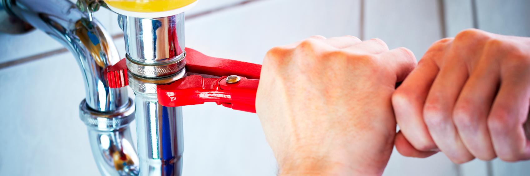 Pip Roulet (@Plumbfixs) / Posts / X