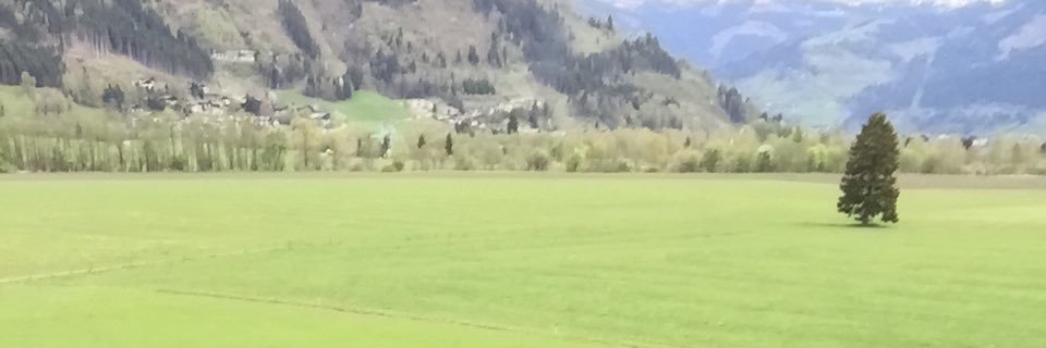 sdaa44's profile banner image