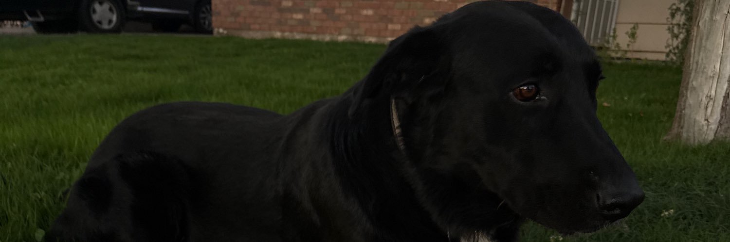 nessacorona_'s profile banner image
