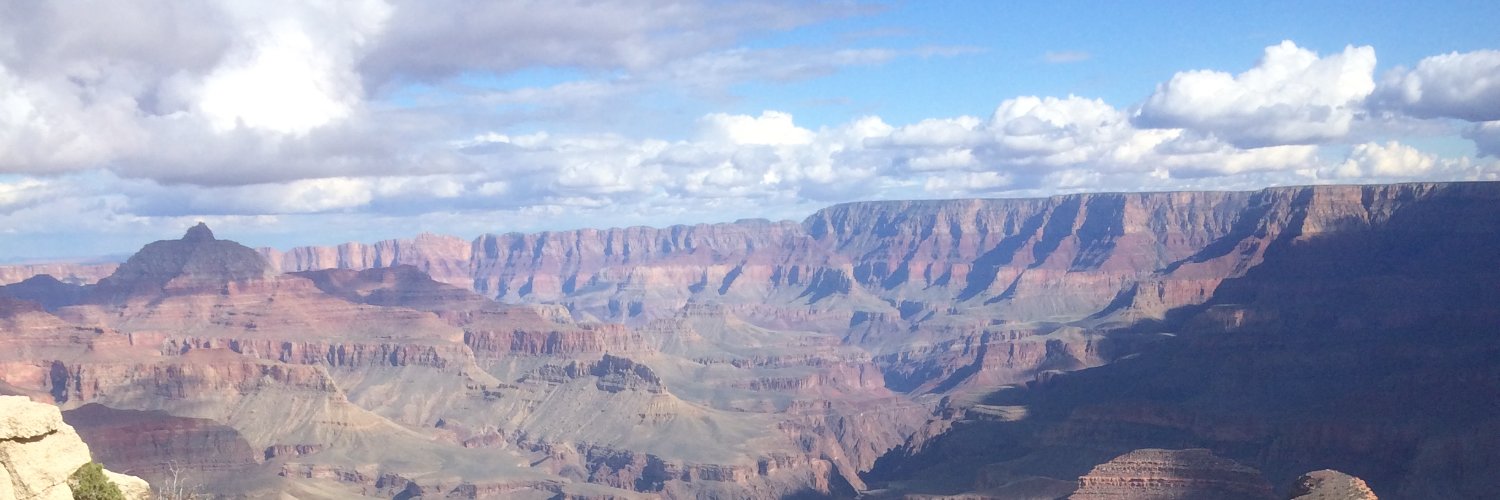 Michael Whitaker banner