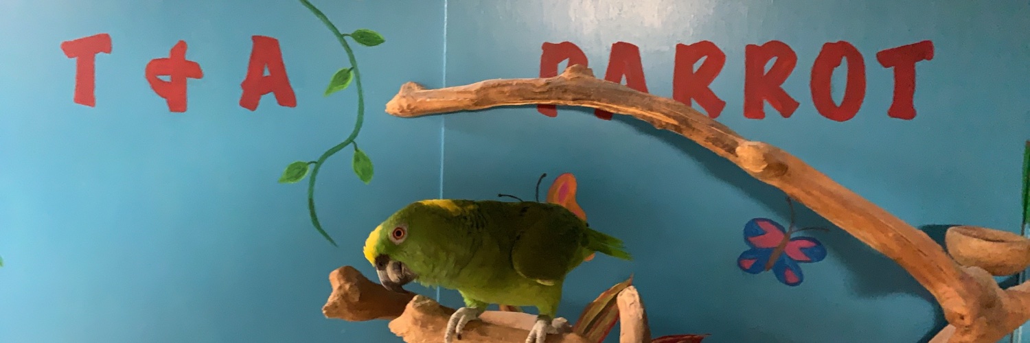 TandAParrot's profile banner image