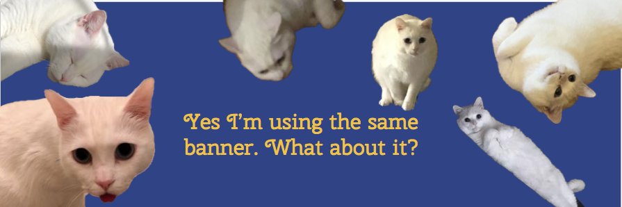 Crafty__Prince's profile banner image