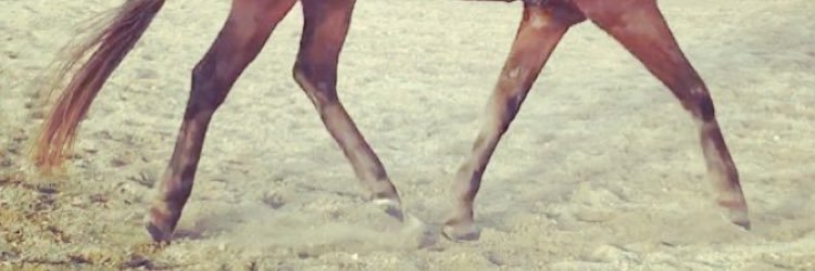 cloudyskieseq's profile banner image