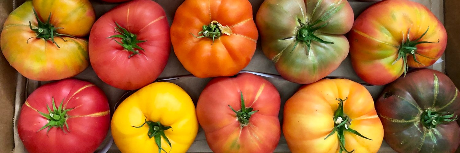 Ooooby Fresno banner