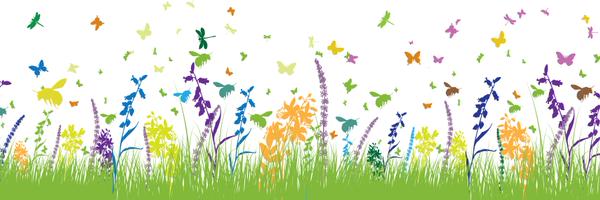 BeesNativePlant Profile Banner