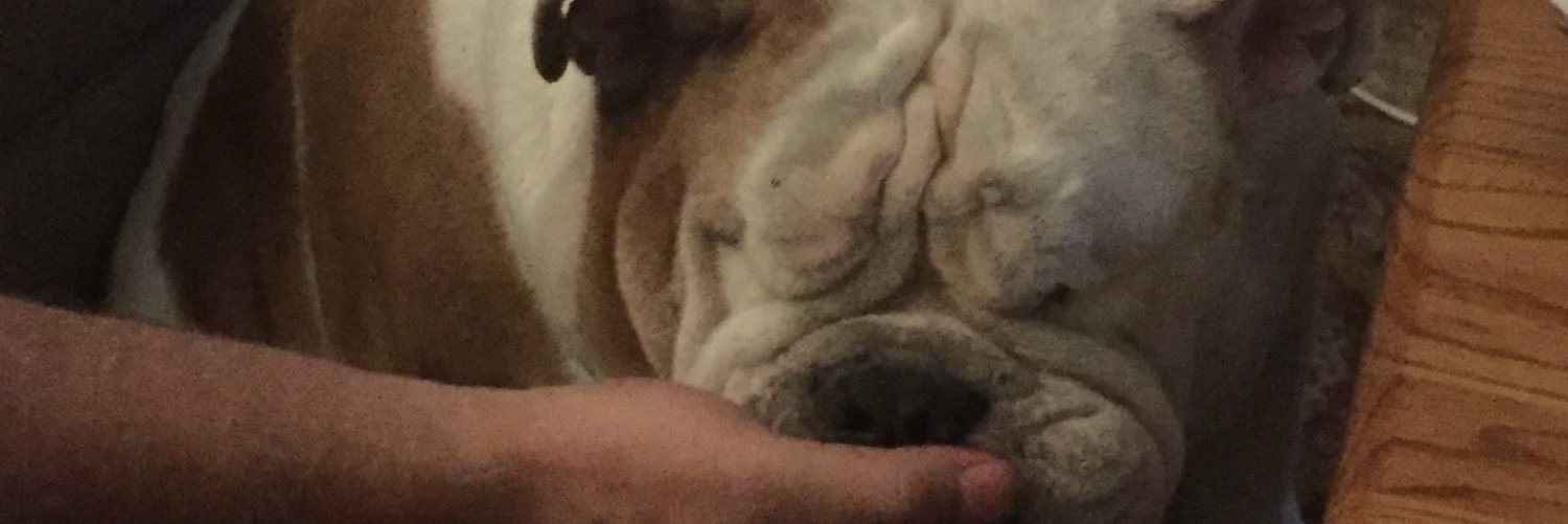JenicaKramer's profile banner image