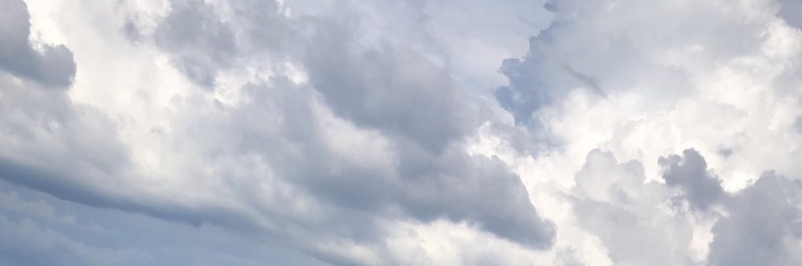 brookeewill_'s profile banner image