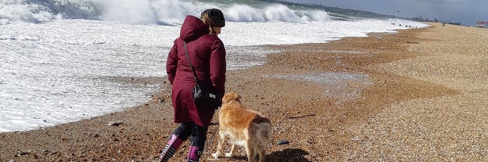 Phil Gooderham banner