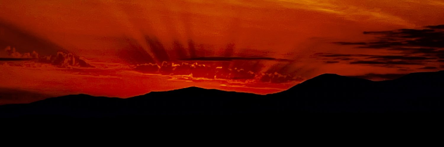 Nicholas Connelly banner