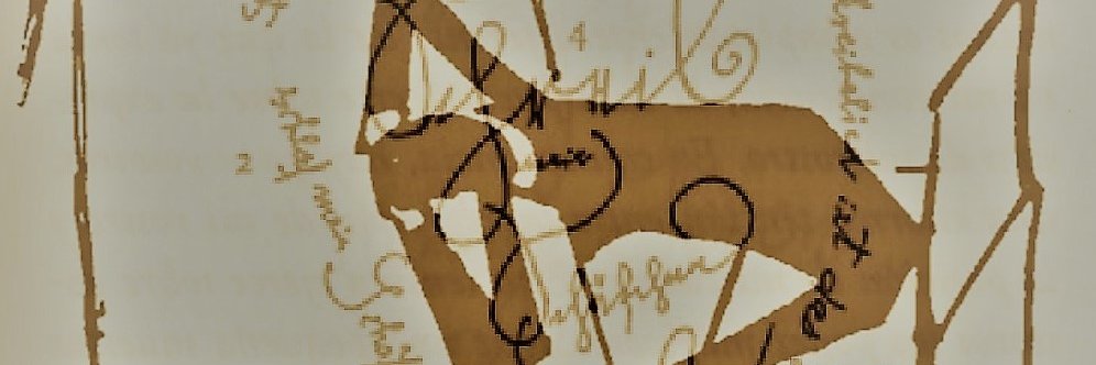 SeddeCarne's profile banner image