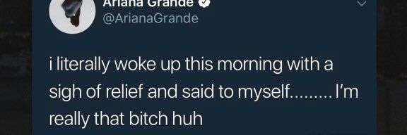 ArianasDimplez's profile banner image