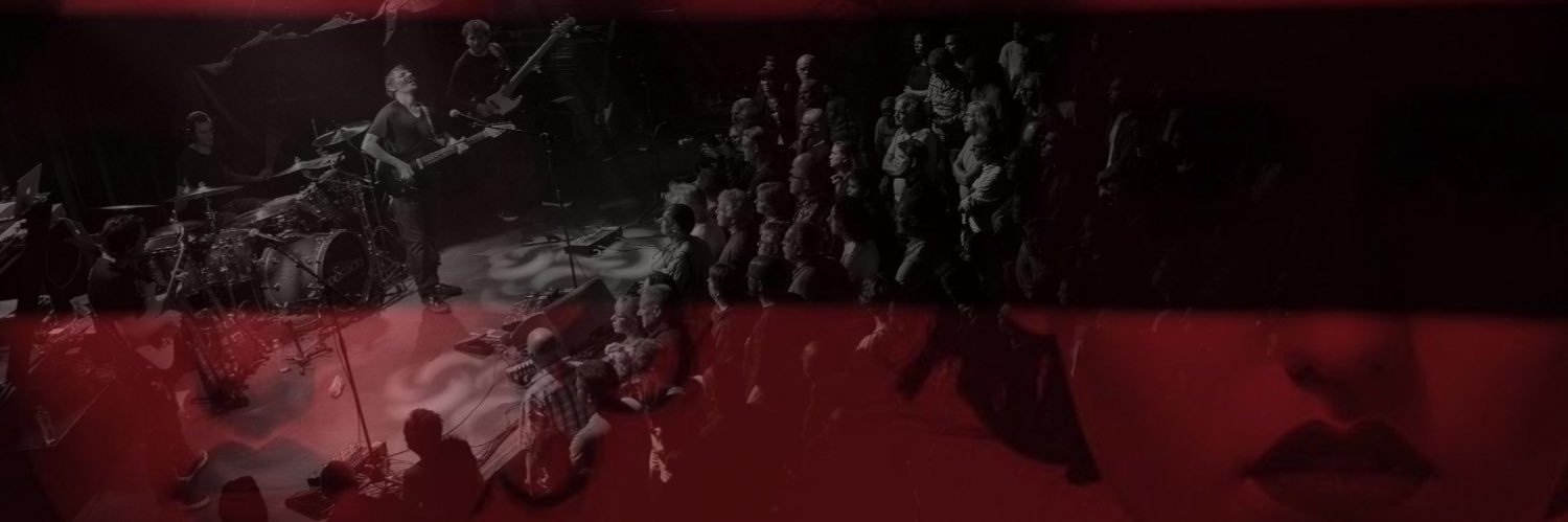 Gavin Bushell banner