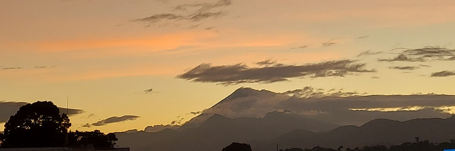 Liz_Sab's profile banner image