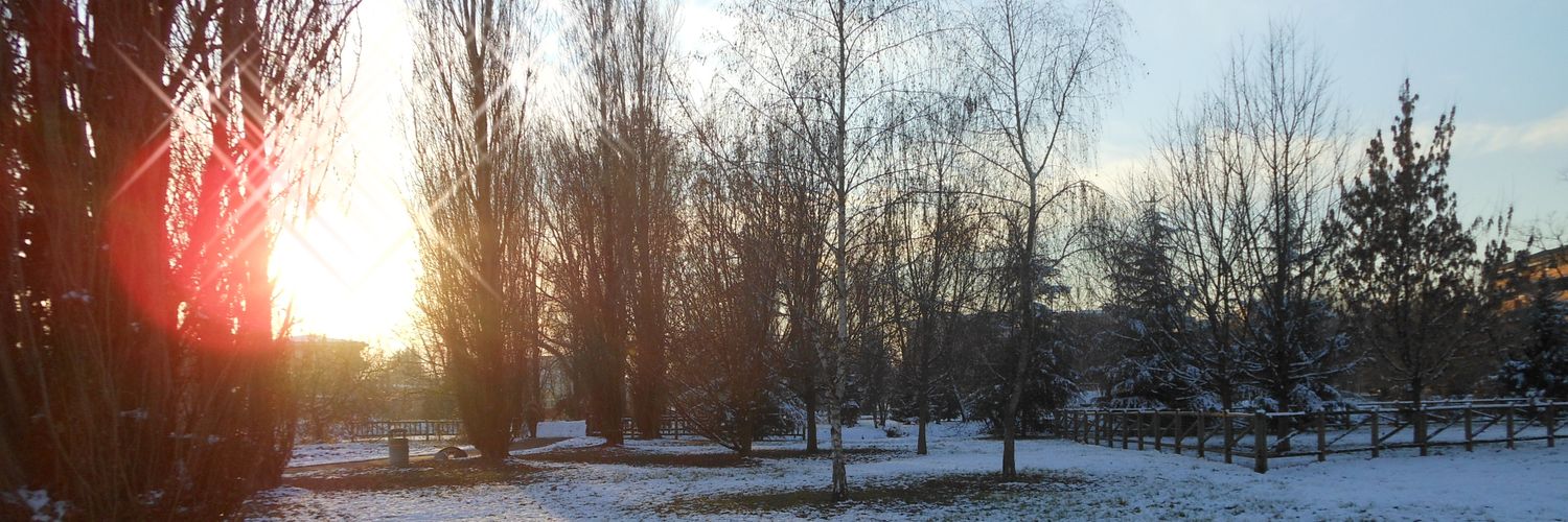 pinochgpp's profile banner image