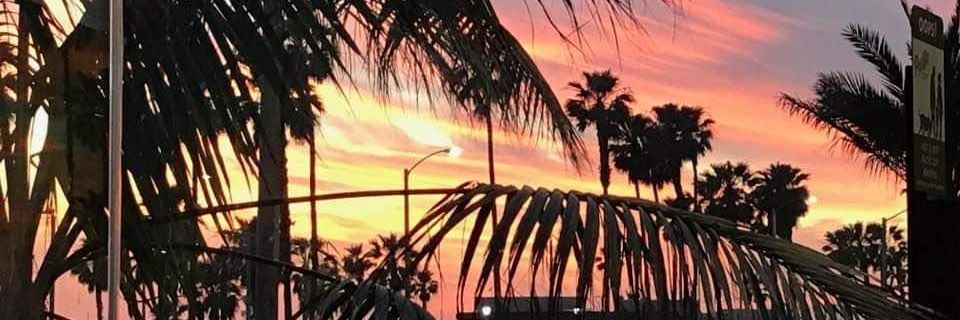 vlarkin56's profile banner image