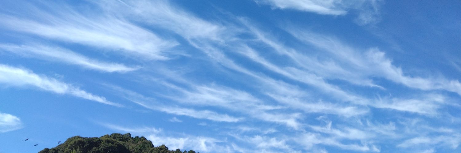 neku273's profile banner image