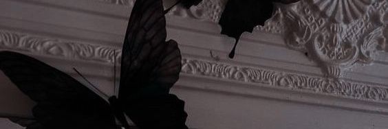trapensieri's profile banner image