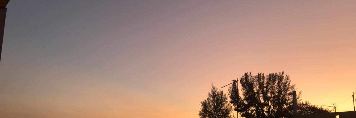 alejandra. banner