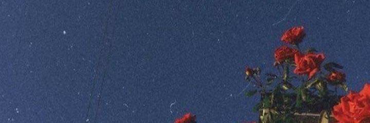 cherryjvng's profile banner image