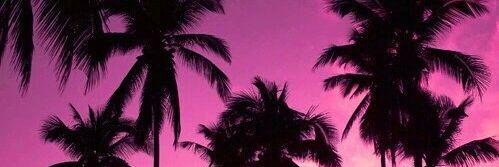 idddddkkkkkkk banner