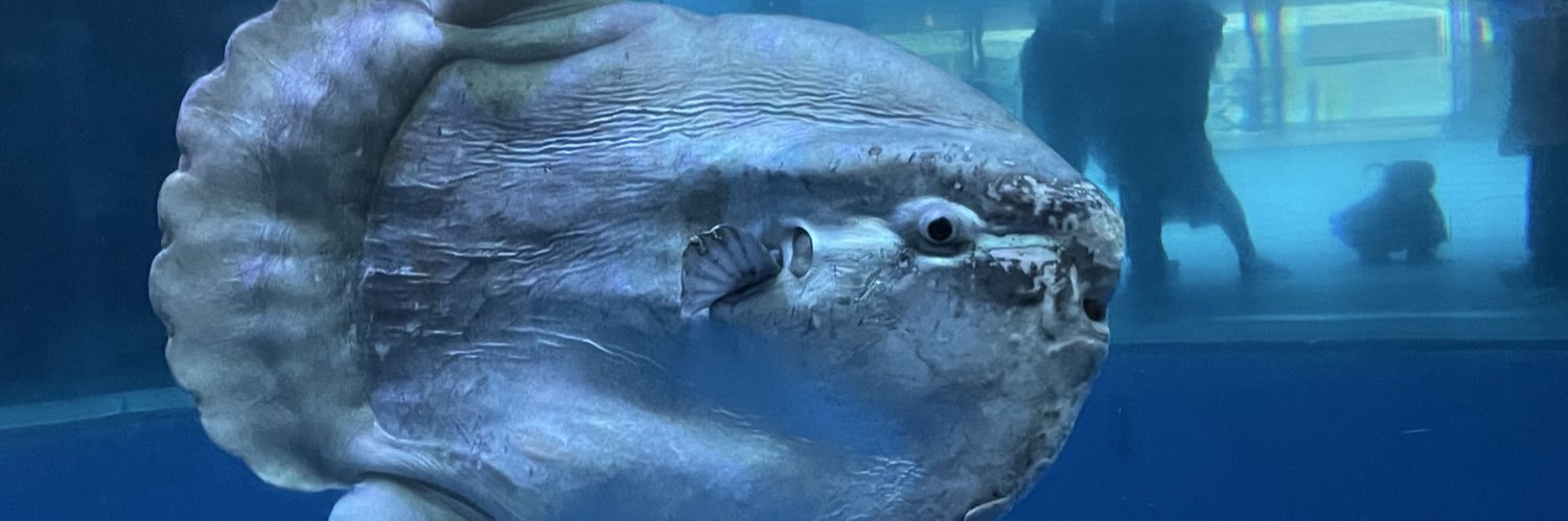 SSWF_GTA's profile banner image