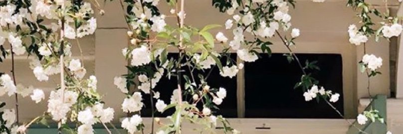 CeliaFresneda's profile banner image