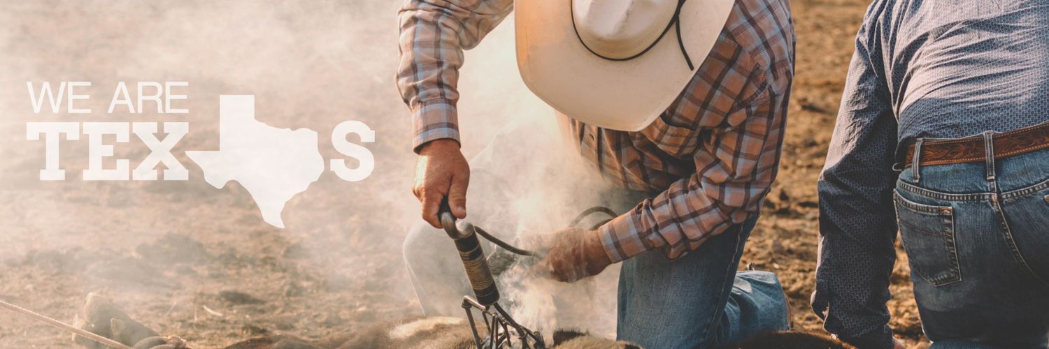 MasterHattersofTexas banner