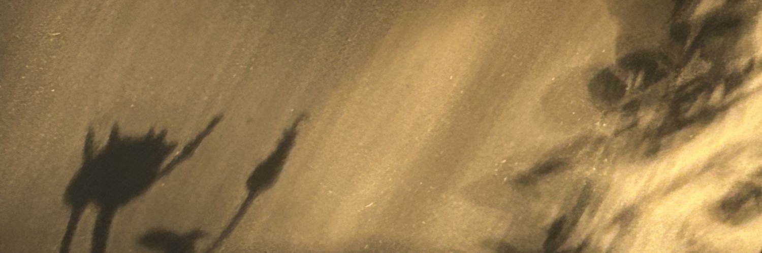 gisdluna's profile banner image