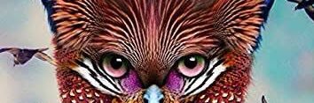 1maxixam1's profile banner image