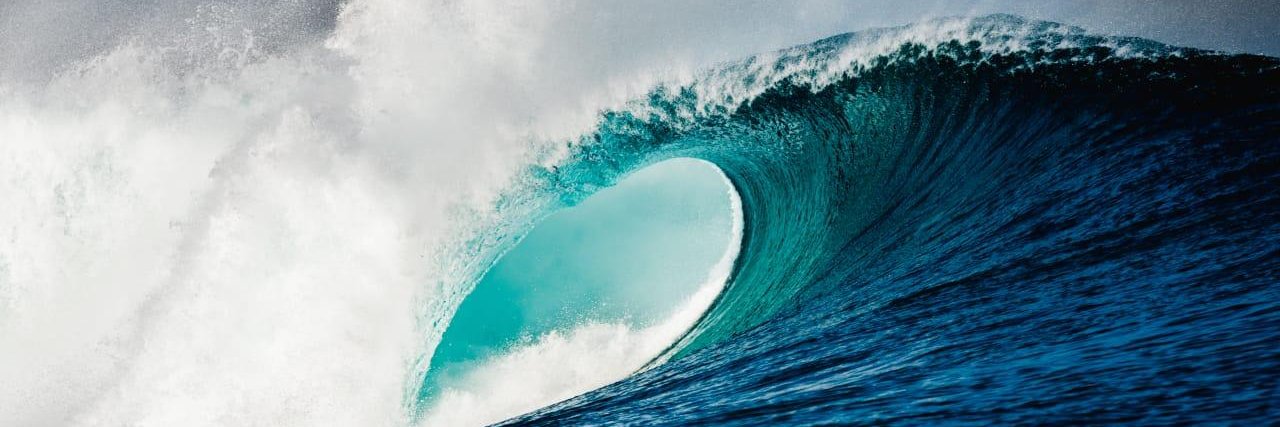 Steve Bourget banner