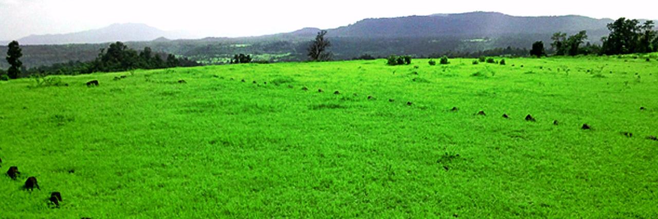 prithvilandpro's profile banner image