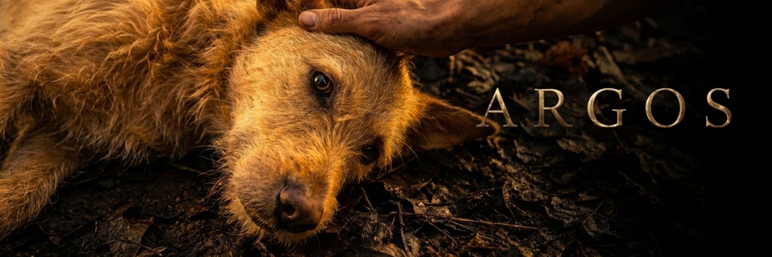 Argos - The Best Boy banner